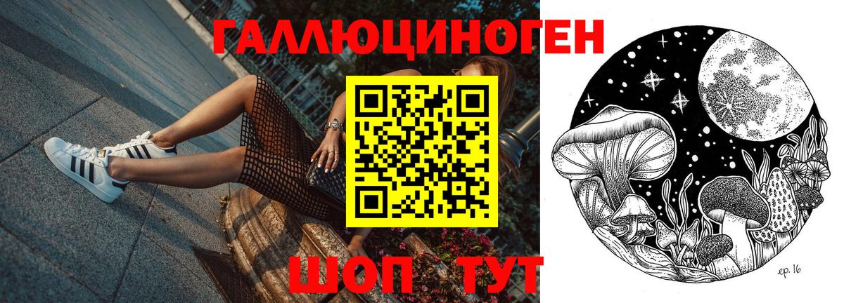 Галлюциногенные грибы Cubensis  Вход с VPN  Аша 